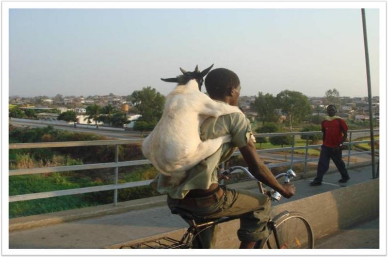 IN BICI OVUNQUE…….E CON CHIUNQUE