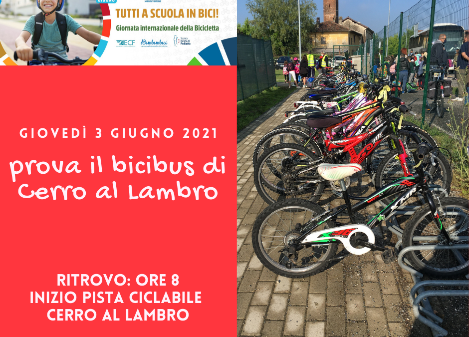 3 GIUGNO 2021: GIORNATA INTERNAZIONALE DELLA BICICLETTA