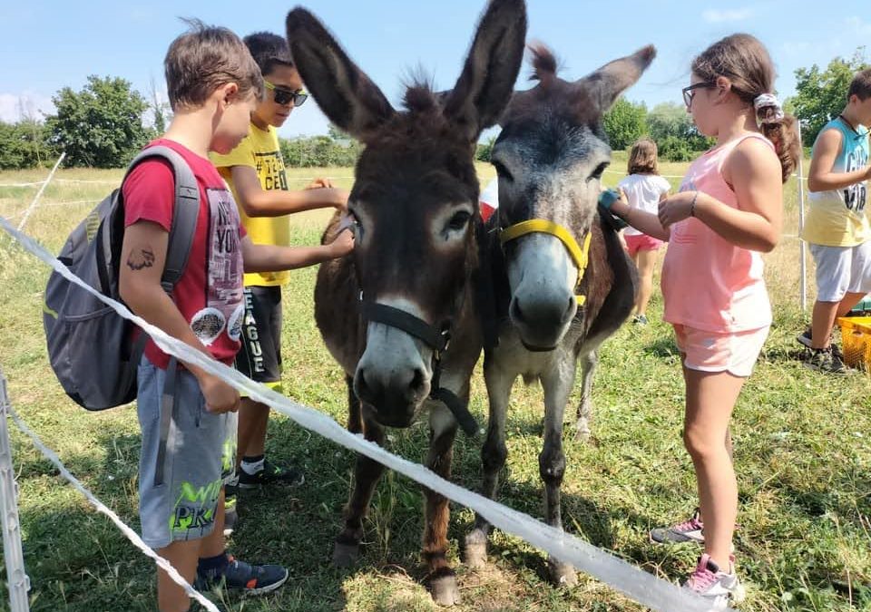 AMBIENTE, CULTURA, EDUCAZIONE CIVICA: UN CAMPUS PER CRESCERE CITTADINI CONSAPEVOLI