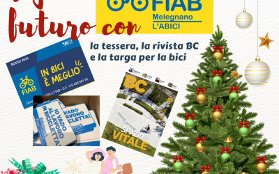COSA METTERE SOTTO L’ALBERO?