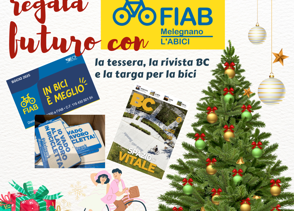 COSA METTERE SOTTO L’ALBERO?
