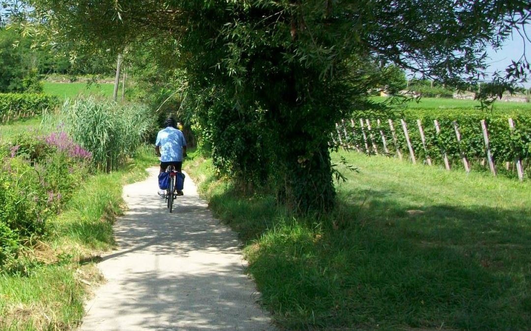 FRANCIACORTA: IN BICI TRA I VIGNETI